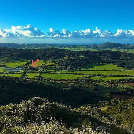 CampaneddaAgriturismo Cuile Querceアパートメント エクステリア 写真